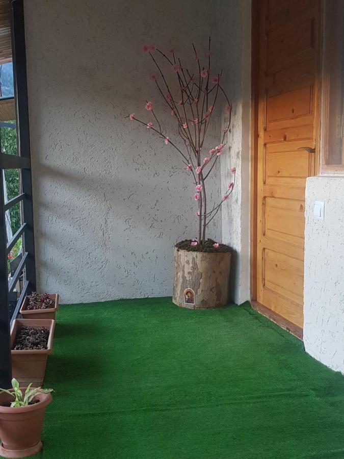 Guest House Sando Borjomi Exterior photo