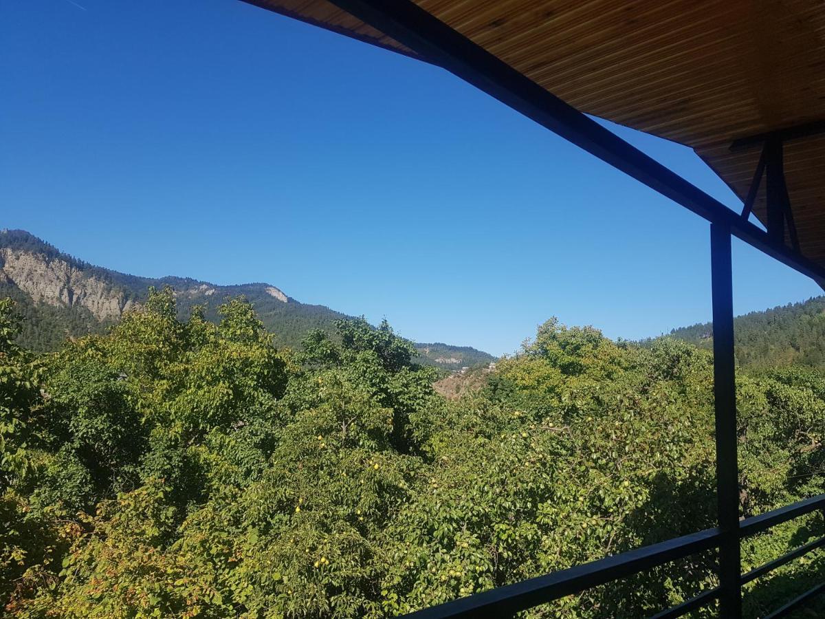 Guest House Sando Borjomi Exterior photo